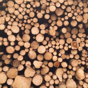 Brennholz Rundholz